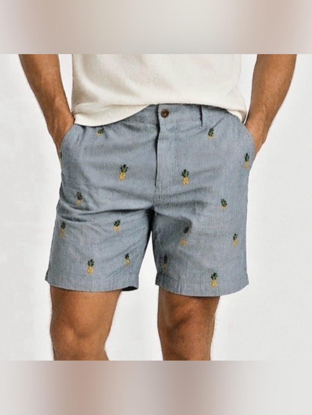 ROUNDTREE & YORKE Caribbean Blue Striped Shorts sz 40 Embroidered Pineapples NWT